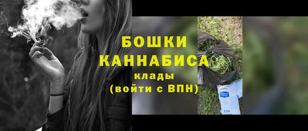 не бодяженный Гусиноозёрск