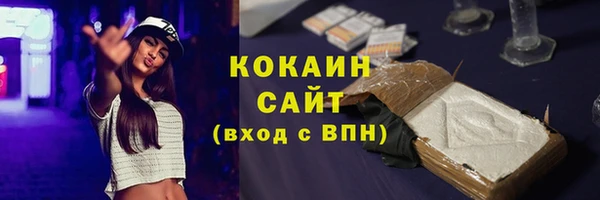 альфа пвп Гусев