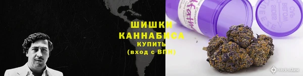 не бодяженный Гусиноозёрск
