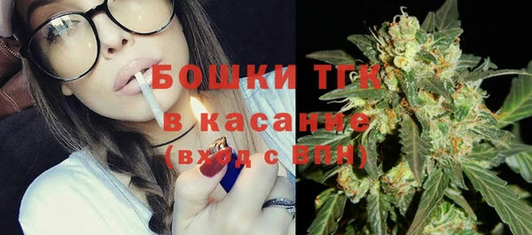 ГАЛЛЮЦИНОГЕННЫЕ ГРИБЫ Гусь-Хрустальный