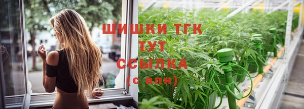 не бодяженный Гусиноозёрск
