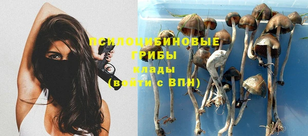альфа пвп Гусев